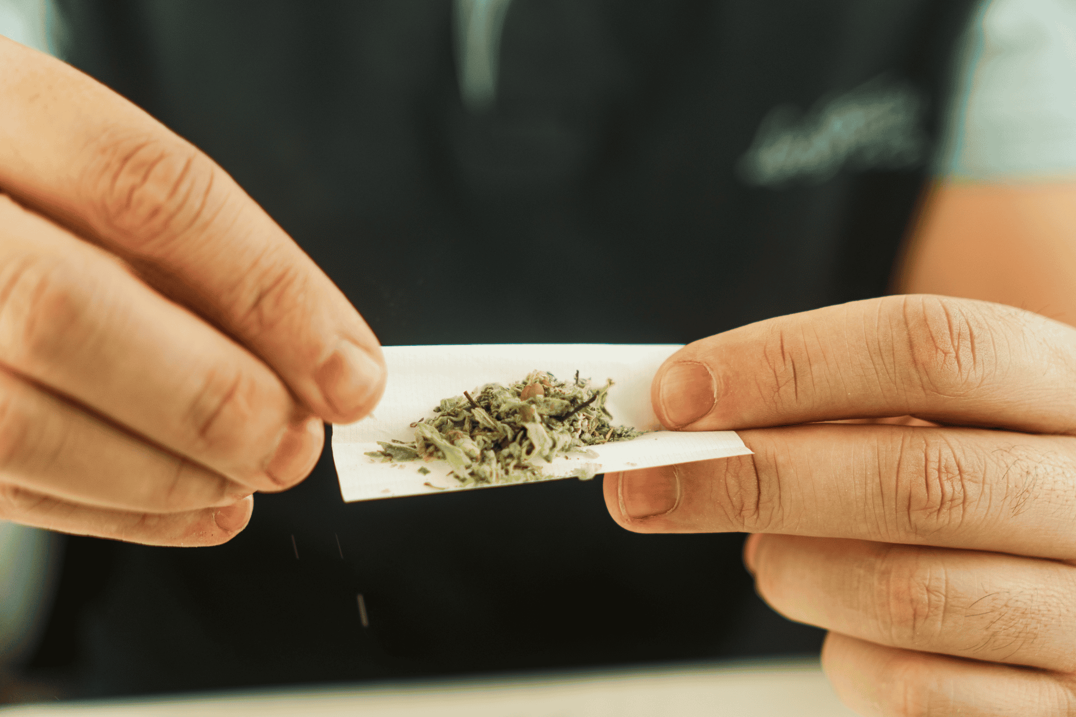 person rolling a cannabis joint